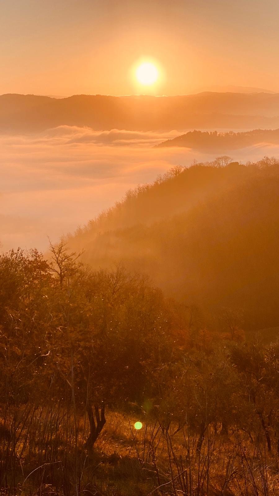 La Vallata Umbrië Agriturismo La Vallata Umbrië